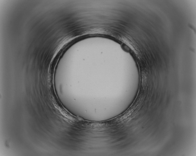 X0000097961116200804141021