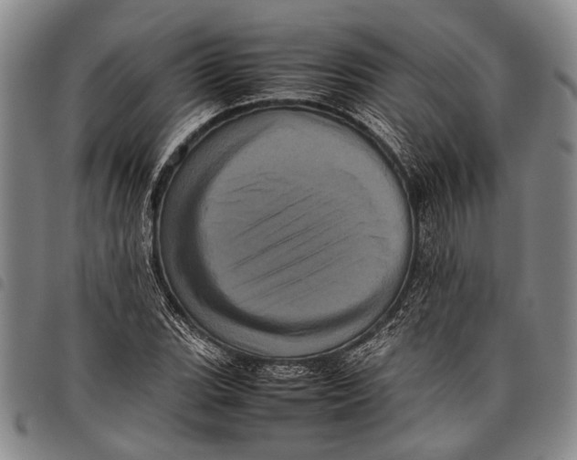 X0000097961119200804141021