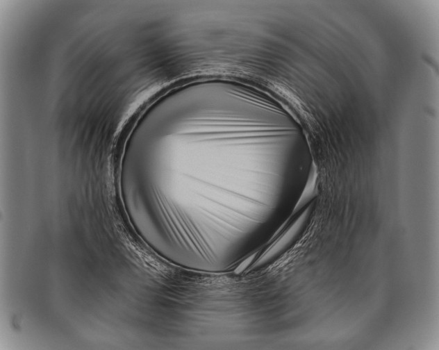 X0000097961120200804141021