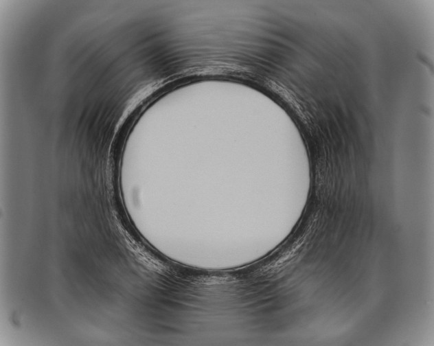 X0000097961122200804141021