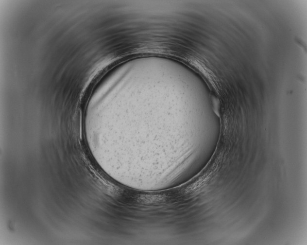 X0000097961123200804141021