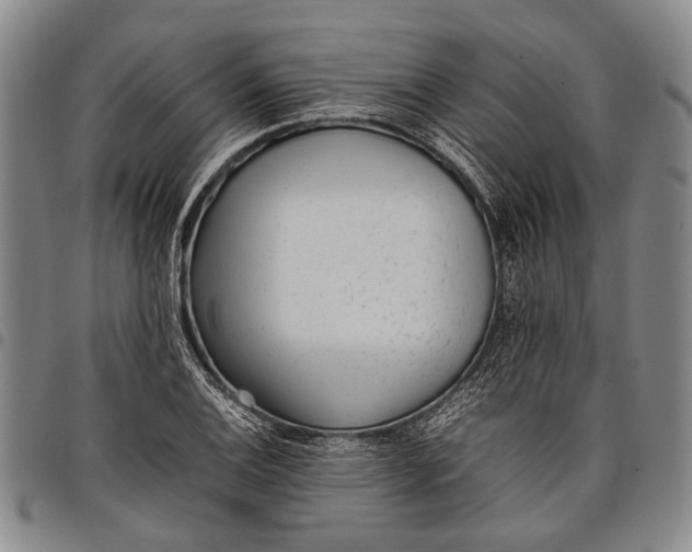 X0000097961124200804141021
