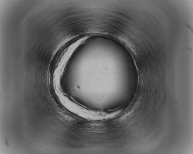 X0000097961125200804141021