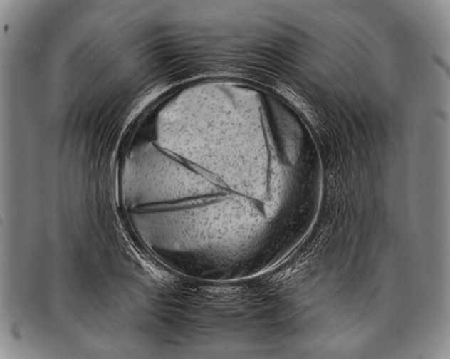 X0000097961127200804141021