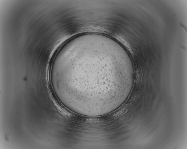X0000097961128200804141021