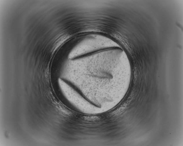 X0000097961129200804141021