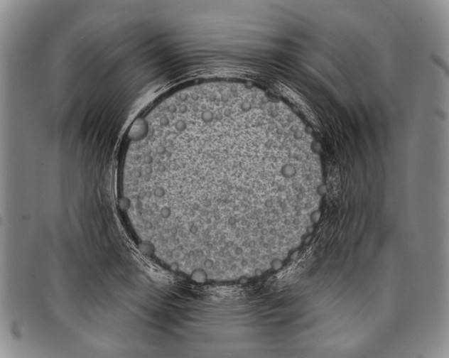 X0000097961130200804141021
