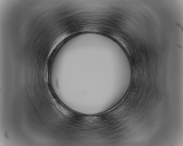 X0000097961131200804141021
