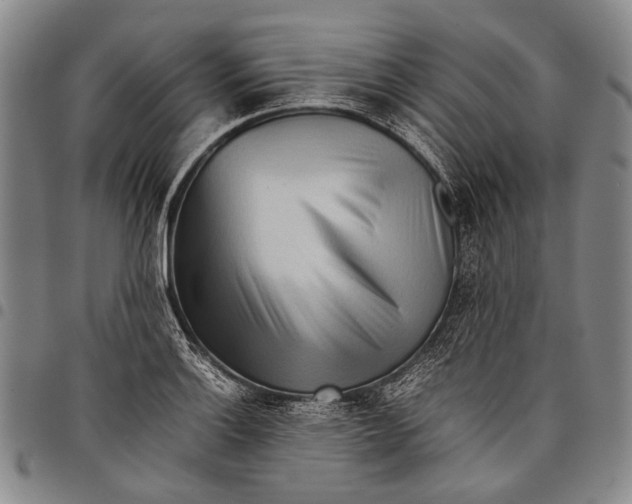 X0000097961132200804141021