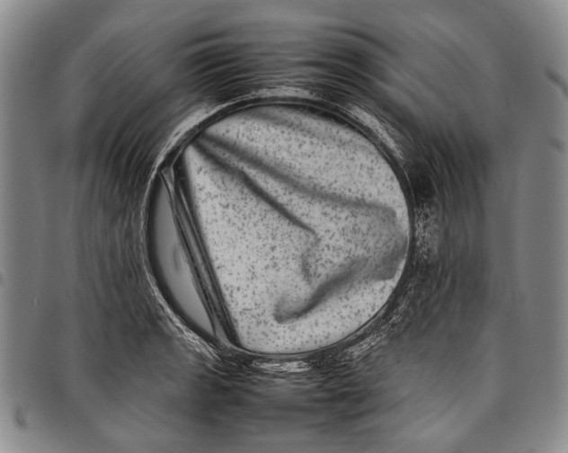 X0000097961133200804141021