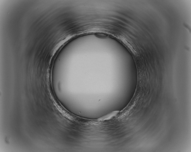 X0000097961134200804141021