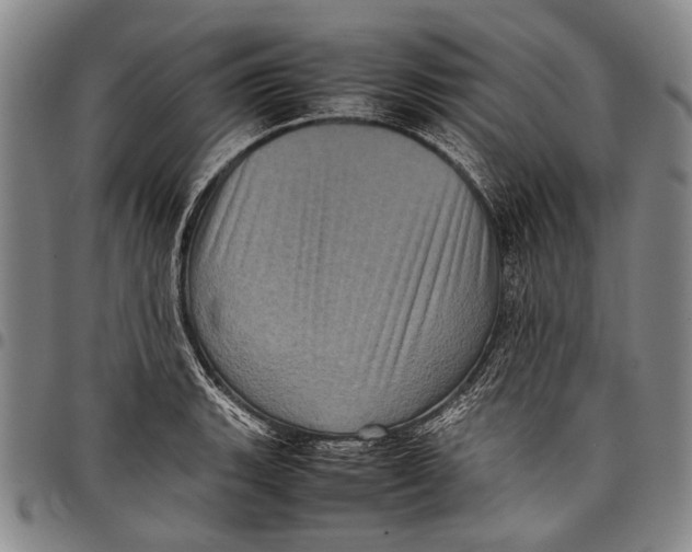 X0000097961135200804141021
