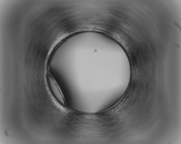 X0000097961136200804141021