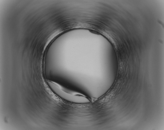 X0000097961138200804141021