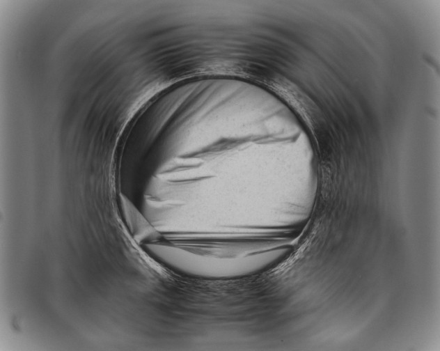 X0000097961141200804141021