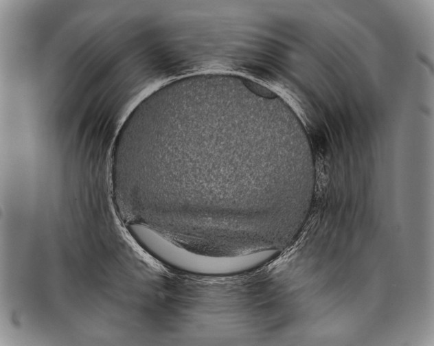 X0000097961142200804141021