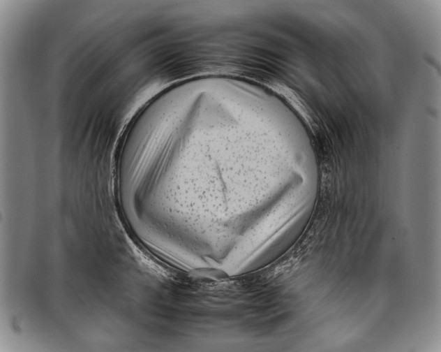 X0000097961143200804141021
