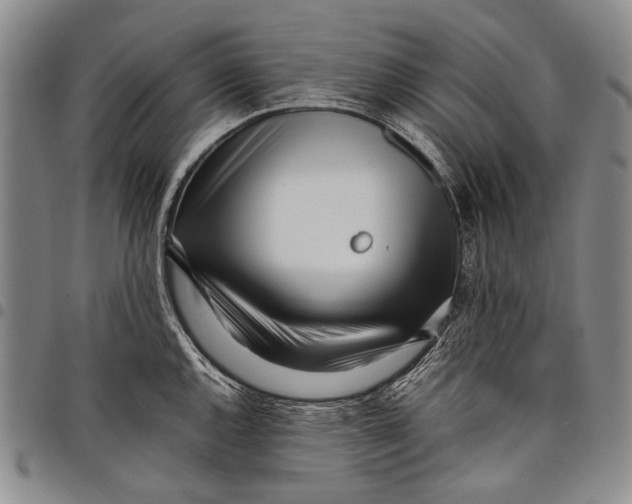 X0000097961144200804141021