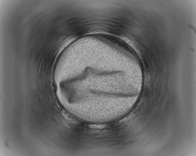 X0000097961145200804141021