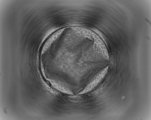 X0000097961147200804141021