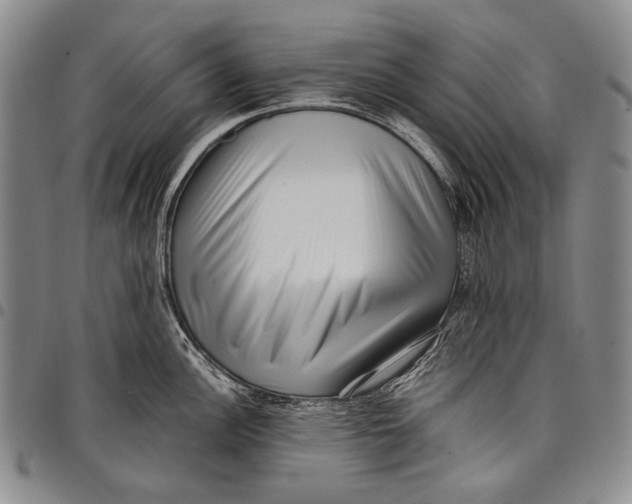 X0000097961148200804141021