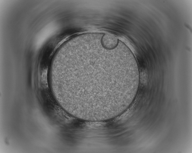 X0000097961150200804141021