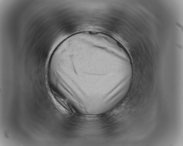 X0000097961152200804141021