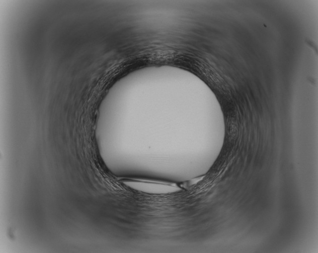 X0000097961153200804141021