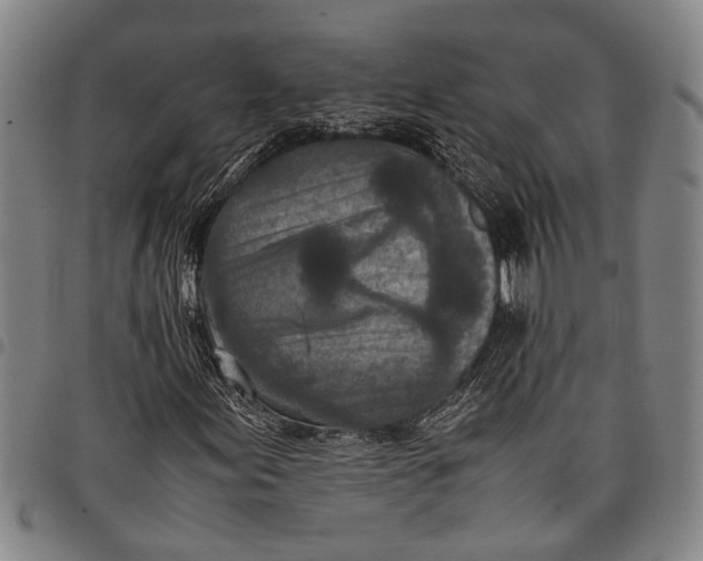 X0000097961155200804141021