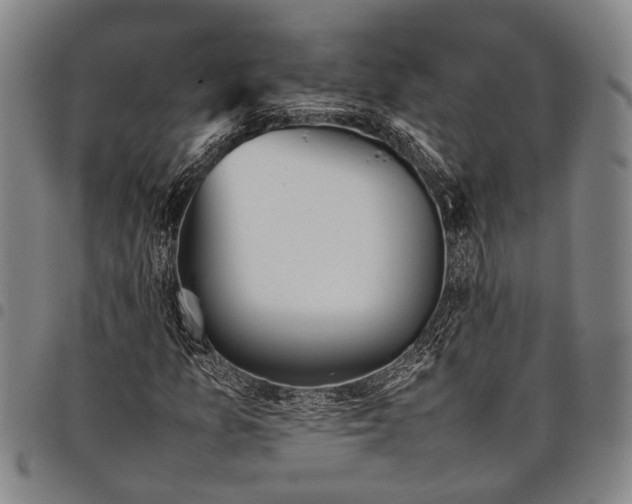 X0000097961157200804141021