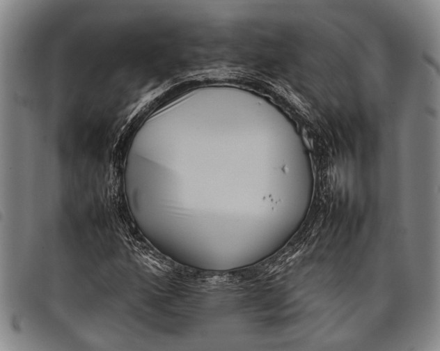 X0000097961160200804141021