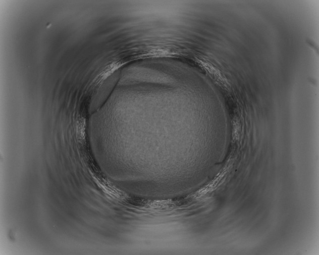 X0000097961161200804141021