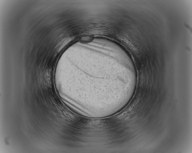 X0000097961162200804141021
