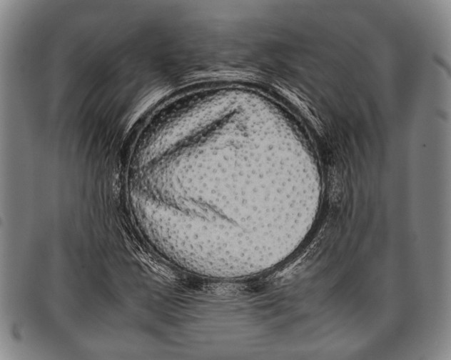 X0000097961163200804141021