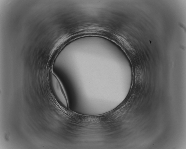 X0000097961164200804141021