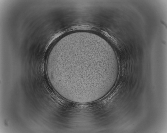 X0000097961166200804141021