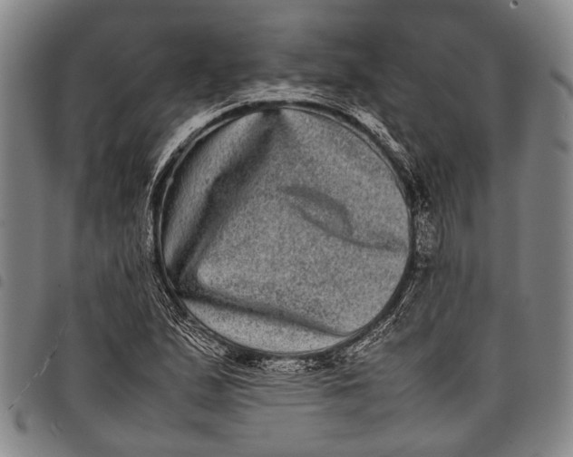 X0000097961167200804141021