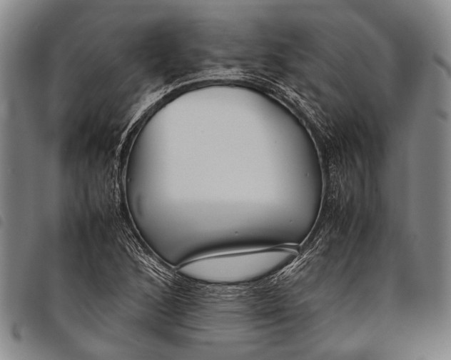 X0000097961168200804141021