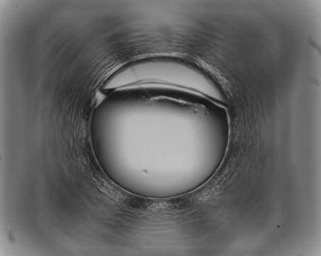 X0000097961169200804141021