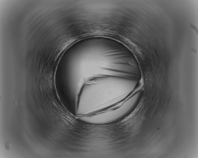 X0000097961170200804141021