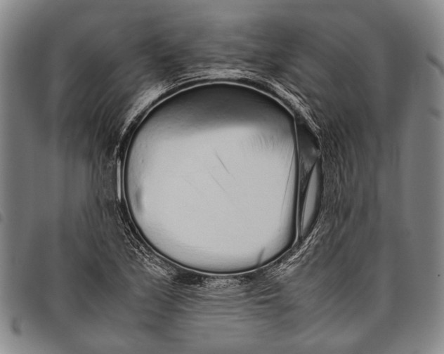 X0000097961171200804141020