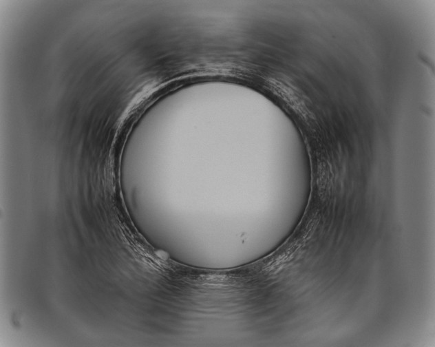 X0000097961172200804141020