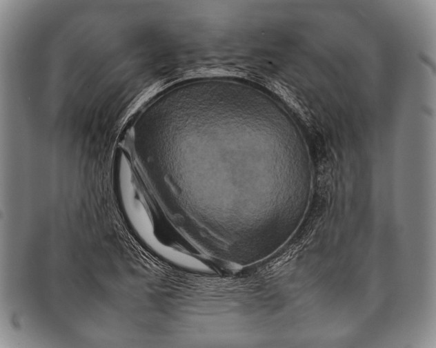 X0000097961173200804141020