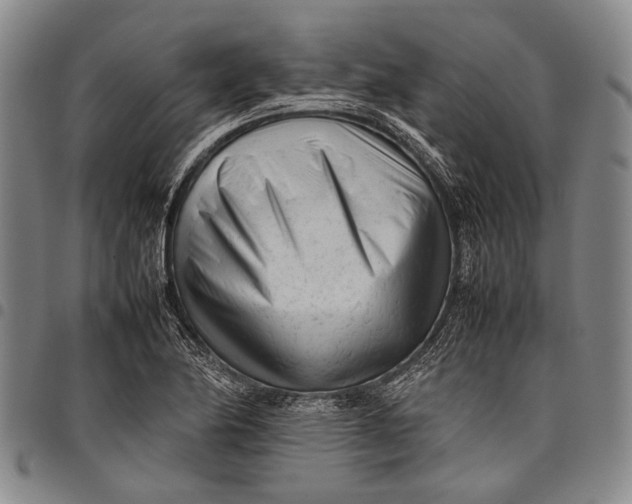 X0000097961174200804141020