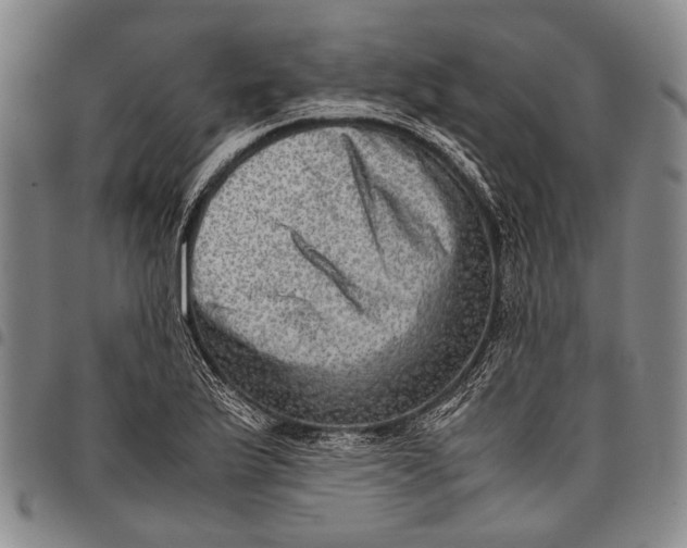 X0000097961175200804141020