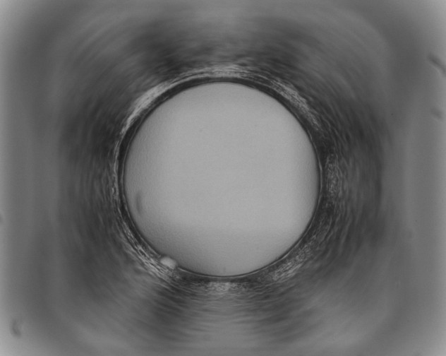 X0000097961176200804141020