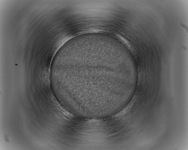 X0000097961178200804141020