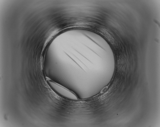 X0000097961180200804141020