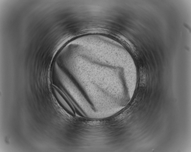 X0000097961182200804141020