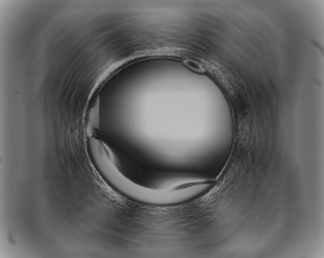 X0000097961184200804141020